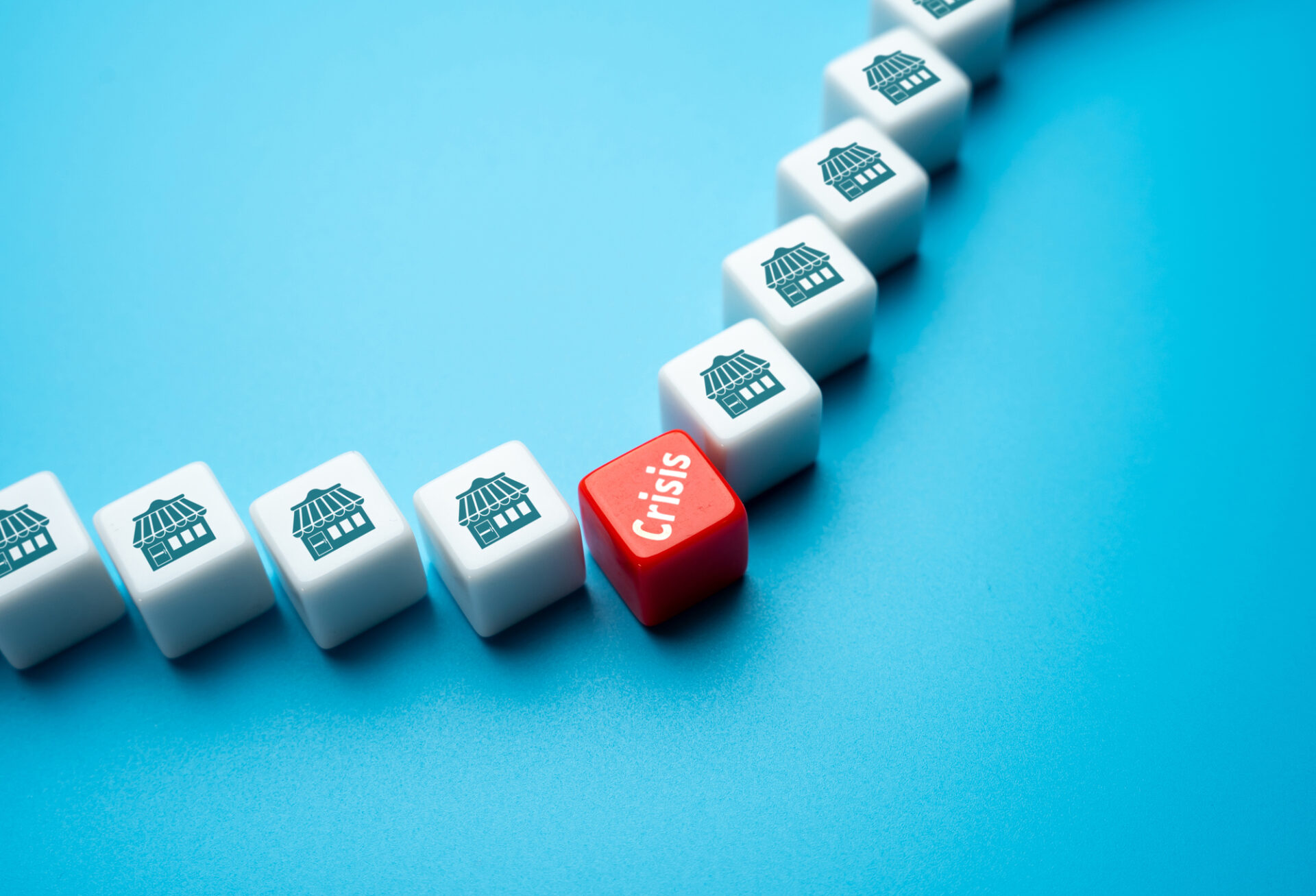 The crisis brings down business. Economic instability, reduced consumer spending, and disrupted supply. Financial strain, declining sales. Survive the crisis.